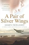 A pair of silver wings