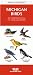 Book Michigan Birds: An Introduction to Familiar Species (Pocket Naturalist)