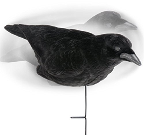 3 pack Crow