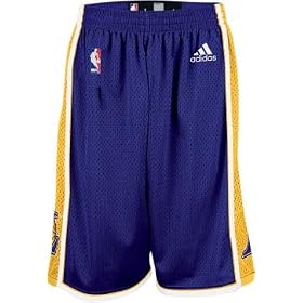 Los Angeles Lakers New Adult Purple Tackle Twill Logo Swingman Shorts By Adidas