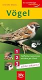 V&ouml;gel: Treffsicher bestimmen mit dem 3er-Check 1.. - 2.. - 3.. - ...schon erkannt! - Einhard Bezzel
