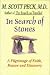 In Search of Stones: A Pilgrimage of Faith, Reason and Discovery (Hardcover)