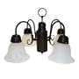 Yosemite Home Decor 1434-4DB Manzanita 4 Light Chandelier, Frosted White Marble Glass, Dark Brown Finished Frame, 24" x 13"