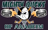 Anaheim Ducks NHL 3
