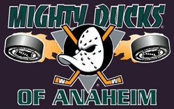 Anaheim Ducks NHL 3'x5' Banner Flag by Rico Industries