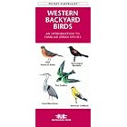 Western Backyard Birds: An Introduction to Familiar Urban Species (Pocket Naturalist) by Waterford Press