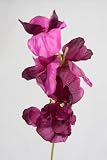 from JustArtificial Artificial Silk Sweet Peas Single Stem - 40cm, Burgundy