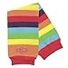 BabyLegs Leg Warmers