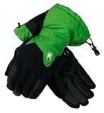 Spyder Men's Poacher Gore Glove