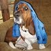 Pet Supplies : Shaggy Shammy Blue SMALL -MEDIUM