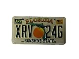 Florida, Orange Fruit over Green State Map graphic License Plate