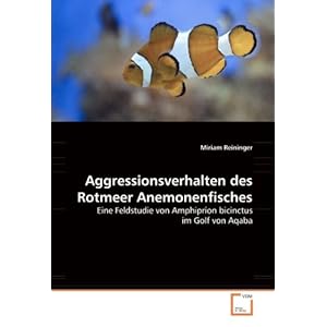 Aggressionsverhalten des Rotmeer Anemonenfisches: Eine Feldstudie von Amphiprion bicinctus