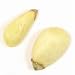 Pignolias/Pine Nuts