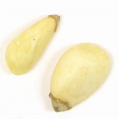 Pignolias Pine Nuts by Oh! Nuts