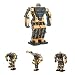 Hitec 77002 Robonova I Ready-To-Walk Humanoid Robot