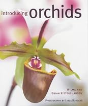 Introducing Orchids