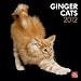 Ginger Cats 2012 Wall Calendar 12" X 12"
