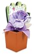 Lady Jayne Ltd. Gift Set, Pansy Porch