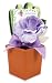 Lady Jayne Ltd. Gift Set, Pansy Porch