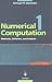 Book Numerical Computation 1: Methods, Software, and Analysis (Numerical Computation 1 Vol. XVI)