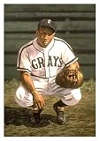 Josh Gibson Limited Edition by Arthur Miller Framed Print