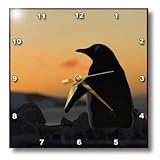 3dRose dpp_74227_1 Gentoo Penguin, Western Antarctic Peninsula-AN02 SKA0558-Steve Kazlowski-Wall Clock, 10 by 10-Inch
