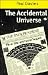 Book The Accidental Universe