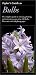 Book Taylor's Guide to Bulbs (Taylor's Gardening Guides)