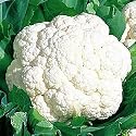Snow Crown Hybrid Cauliflower - Seed Packet