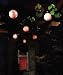 Kitchen & Housewares : Premier 6 Multi-Action Led Ball Lights
