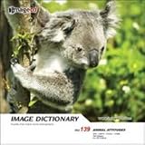 �C���[�W �f�B�N�V���i���[ Vol.139 �����̎p