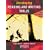 Developing Reading and Writing Skills: For the Year 8 Tests (Developing Reading & Writing Skills)