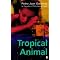 Novels set in contemporary Cuba