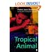 Tropical Animal