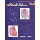 Laboratory Guide for Human Anatomy by  William J. Radke
