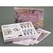 Bob Ross Flower Painting Kit