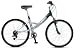 Schwinn Sierra DSX Adult Comfort Bike