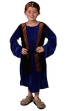 Nativity Wiseman - Blue