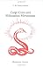 Cargo Cults and Millenarian Movements: Transoceanic Comparisons of New Religious Movements (Religion & Society)