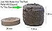 100 Count- Jiffy 36 MM Peat Soil Pellets