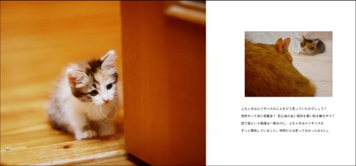 Cover image : ふちゃぎとエリザベス(DVD付き)