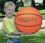 Spectrum 16 Playground Basketball