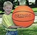 Sporting Goods : Spectrum 16" Playground Basketball