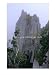 The Pinnacles Limestone Fores, from the Lookout on Gunung Api, Gunung Mulu NP, Sarawak, Malaysia, Photographic Print by Mark Daffey, 18x24