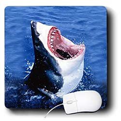 Sharks - Great White Shark - Mouse Pads