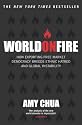 World on Fire: How Exporting Free-Market Democracy Breeds Ethnic Hatred and Global Instability