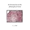 Philosophy of Mind: Neurophilosophy