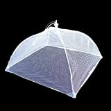 Coleman Food Cover - 13 x 13