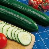 Cucumber Seeds - Cucumber Sweet Slice Hybrid