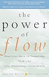 The Power of Flow: Practical Ways to Transform Your Life with Meaningful Coincidence